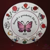Porcelán tányér ovis jelekkel /9-12 jel/   Ø26 cm