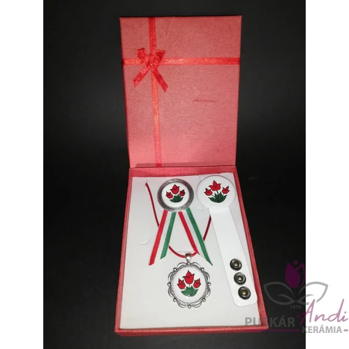 Nyaklánc, bőrszíjas karkötő és kokárda, szettben